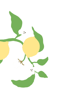 Lemon 5